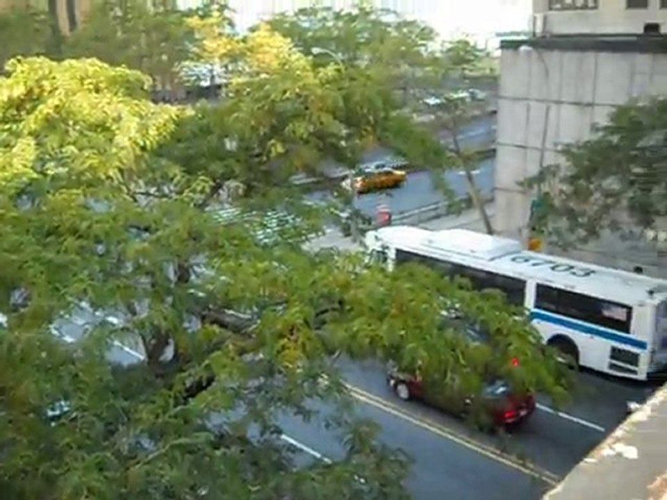 Video prise depuis le pont