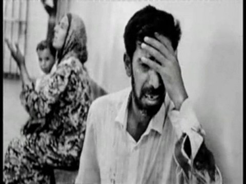 Barbaridades cometidas com grandes palavras na boca