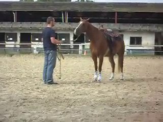 EQUITATION WESTERN SDC12058