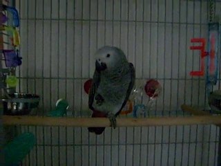 Lola qui barbotte mdr