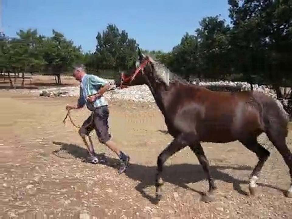 Sam et Chris au trot !!