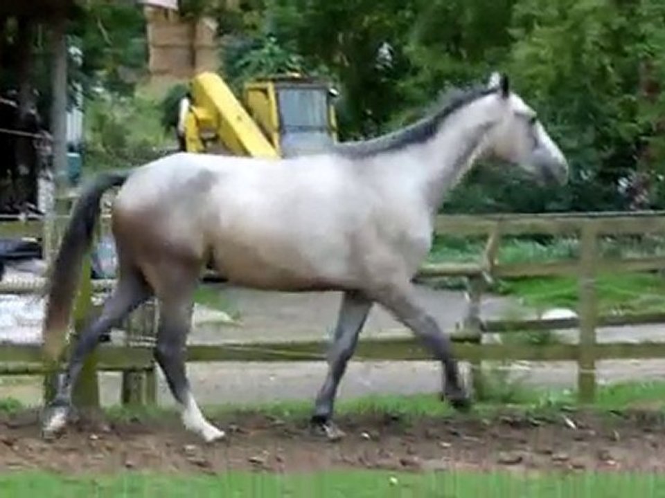 Urikan le 29.08.10 (3)