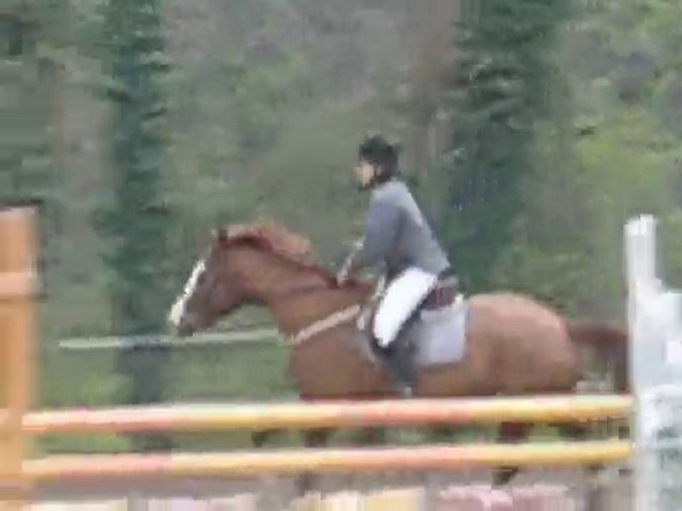 JELLICO EN CONCOURS