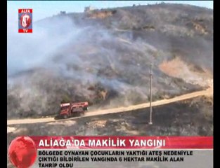 Aliağa'da Makilik Yangını