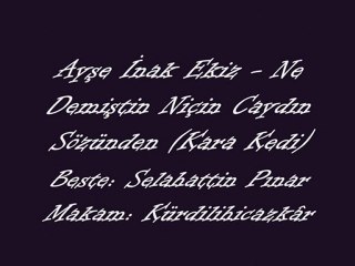 Ayşe İnak Ekiz-Ne Demiştin Niçin Caydın Sözünden (Kara Kedi)