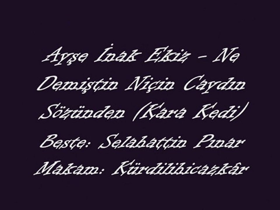 Ayşe İnak Ekiz-Ne Demiştin Niçin Caydın Sözünden (Kara Kedi)