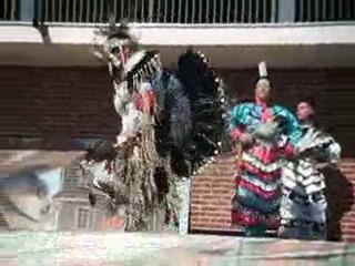 festival country music 2010 a Castelnau-d'Estrétefonds(31)