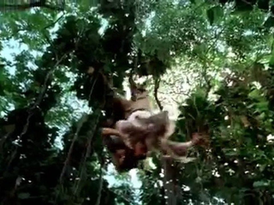 Wwe-Fox Film - The Rundown