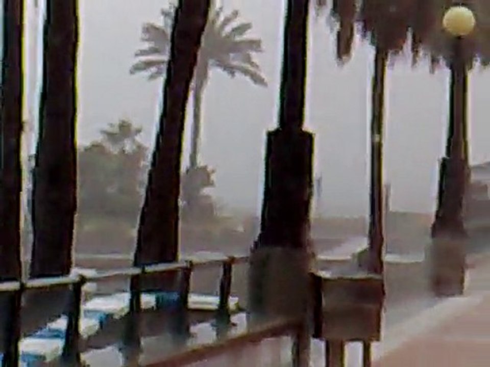 LLUVIA EN ESTEPONA - INVIERNO 2009/2010 www.jardineromarbella.com