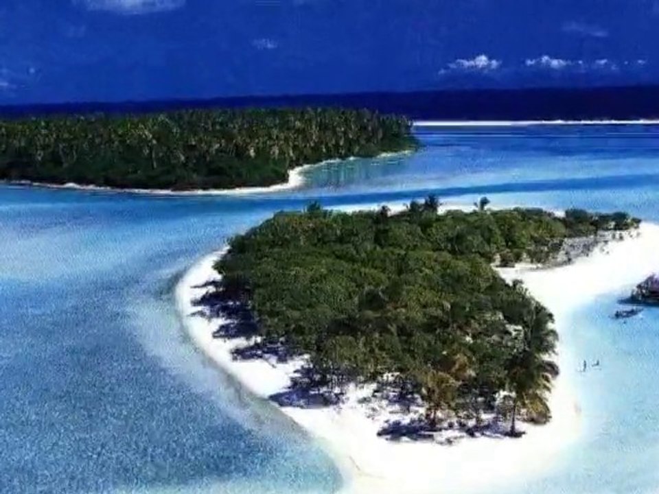 SNTV - Happy Birthday, Angelina!