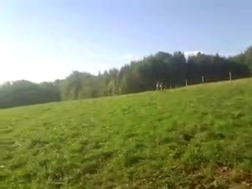 safira depart au galop