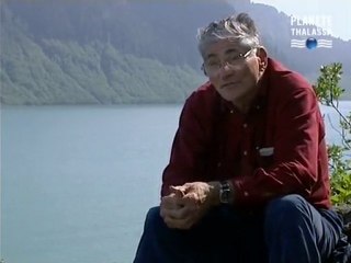 Mega-Tsunami , La Vague Fatale (1)