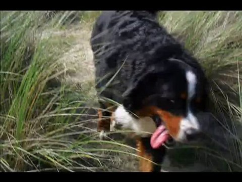 Eclypse a la balade du 29 Août 2010