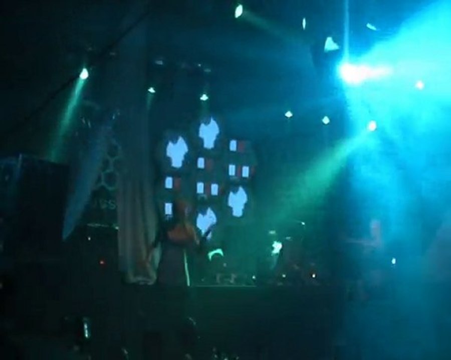 p 12th anniversary - Orkidea