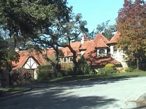 SNTV - Hogan Knows Divorce