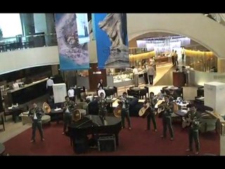 Mariachis en Coyoacan de Calidad - Tel.  24879952