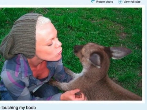 SNTV - Celebrity Twitter posts