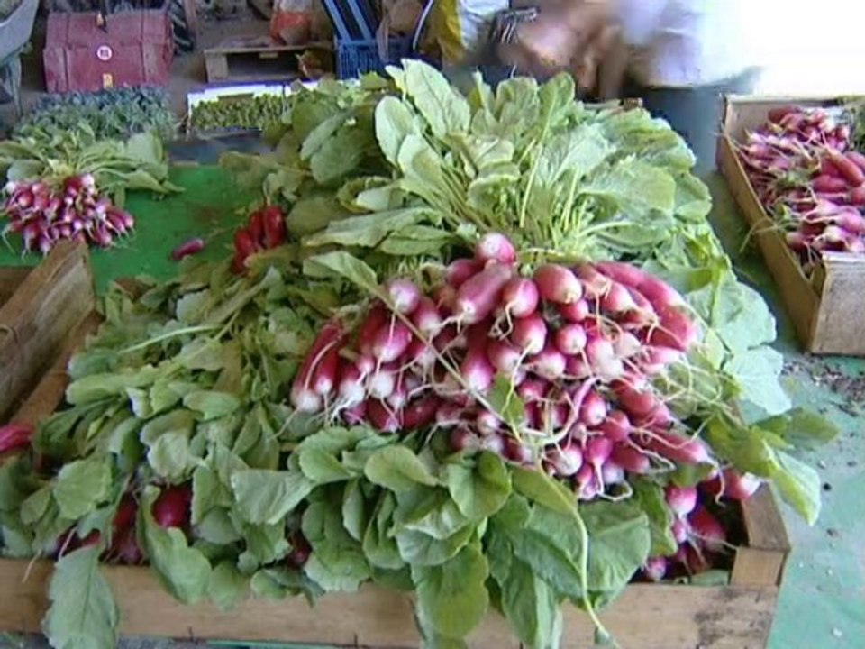 Calaisis TV : L'oeilleton d'Emma : Le Chenelet n°1