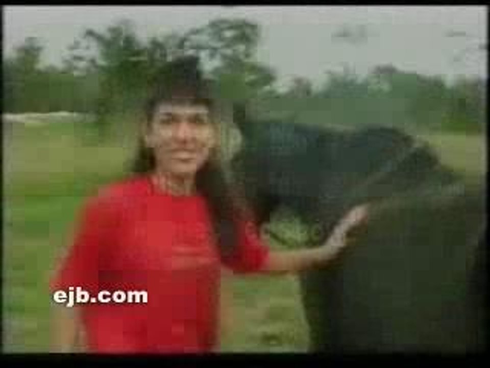gag du jour 01