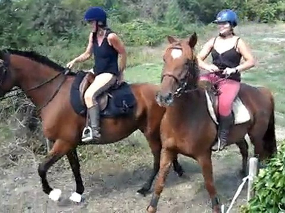 Arrivée au galop rando 29 août 2010