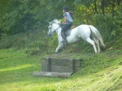 Cce Laizé - 28 août