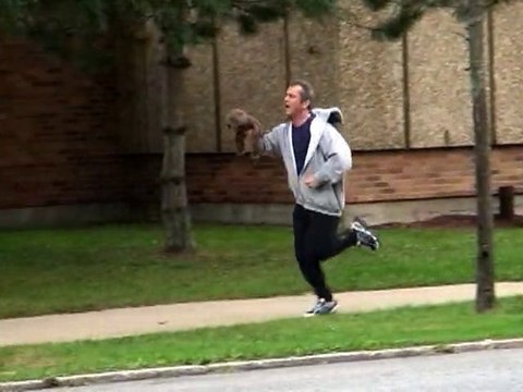 SNTV - Mel Gibson's Beaver