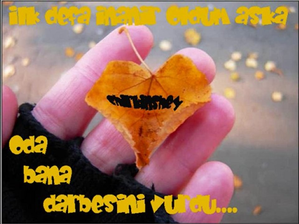 bn..-..-