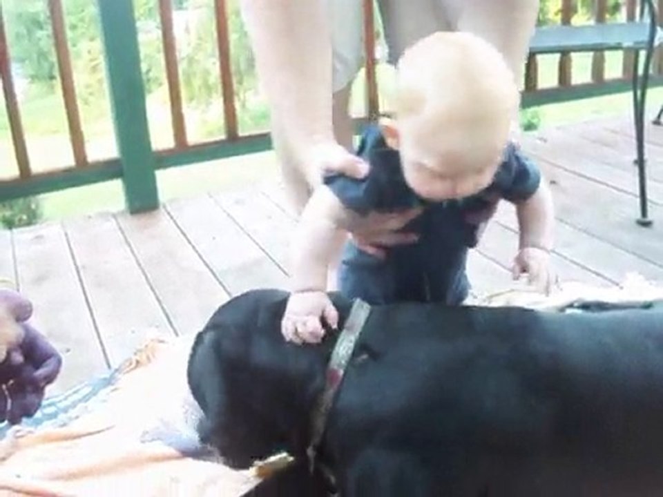 soloman's first horse
