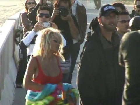 SNTV - Pam's Baywatch look back