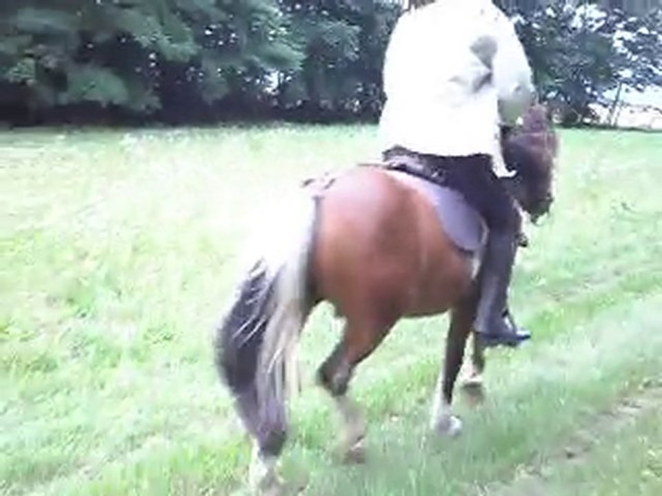 RANDONNEE EQUESTRE DES 28-29 AOUT 2010. SDC12847