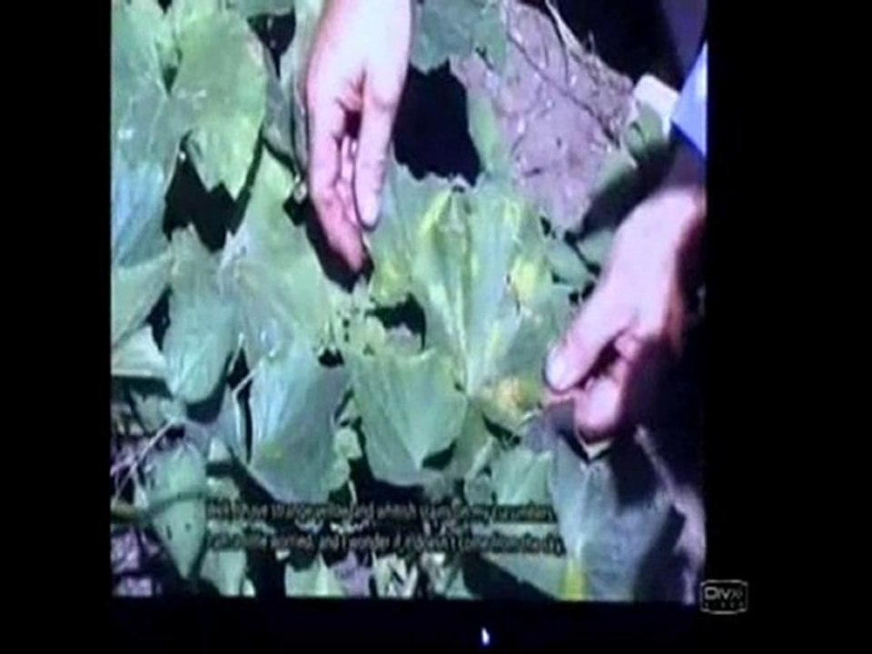 Chemtrails-RÉVÉLATIONS -La Vérité-Qui-Tue ! ! !  (N°2/4)