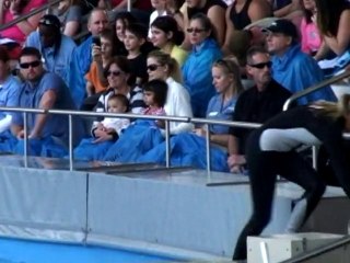 SNTV - Tiger's kids hit Sea World