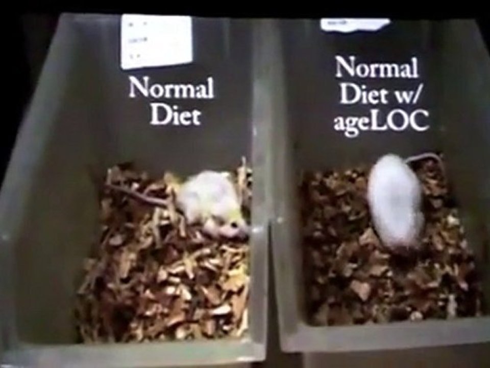 ageloc vitality