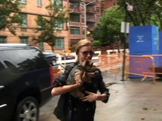 SNTV - It's a dogs life in Hollywood