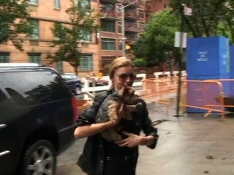 SNTV - It's a dogs life in Hollywood