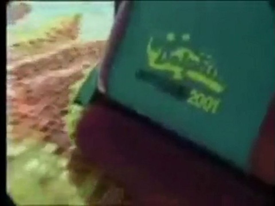 Maytronics Dolphin Diagnostic 2001