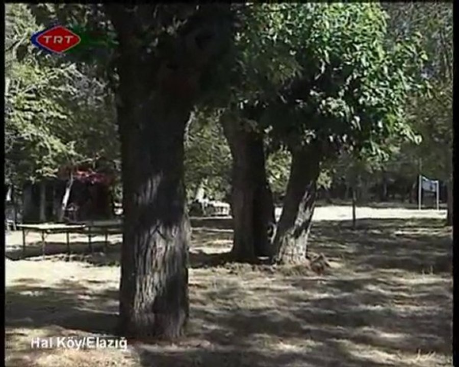 Elazığ-hal köyü 10