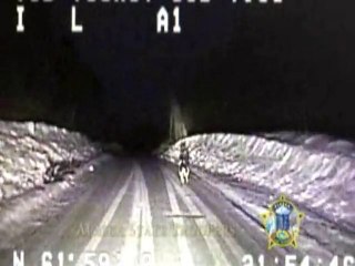 SNTV - Buddy the German Shepherd