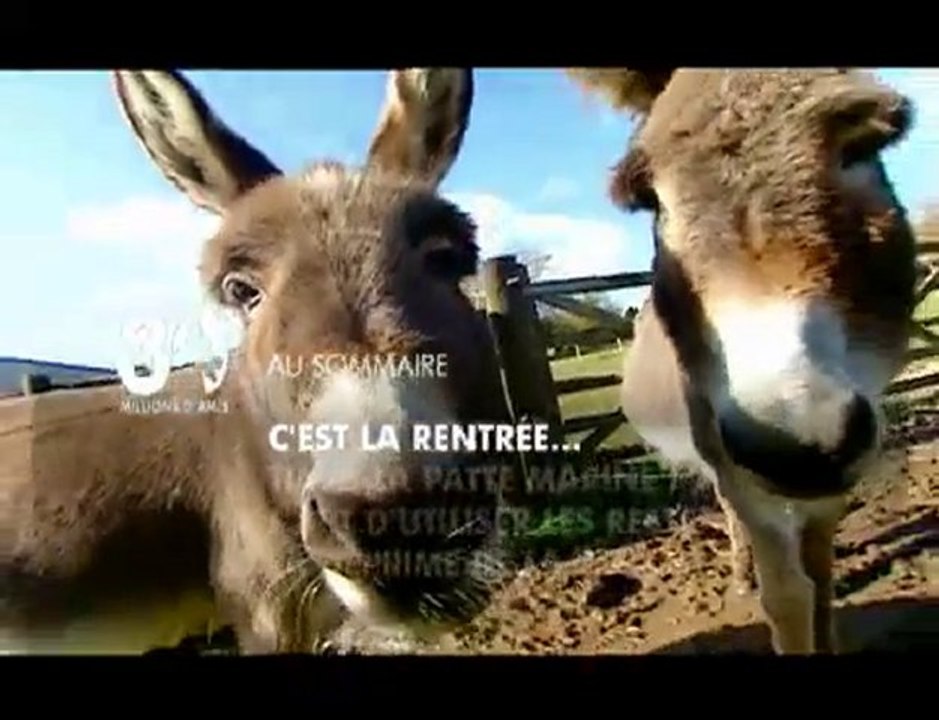 Sommaire émission 30 Millions d'Amis du 5-09-2010