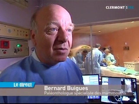 Chroma : 1er bébé mammouth à être étudié (Puy-en-Velay)