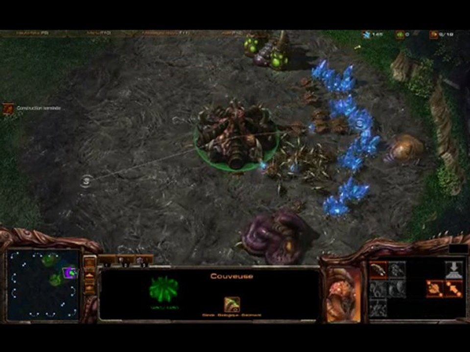 Starcraft 2 Parodie - Zerg is imba (or not)