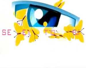 Générique SECRET STORY JEU !