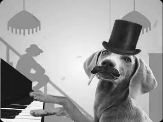 Joyeux Anniversaire - Chien jouant du piano