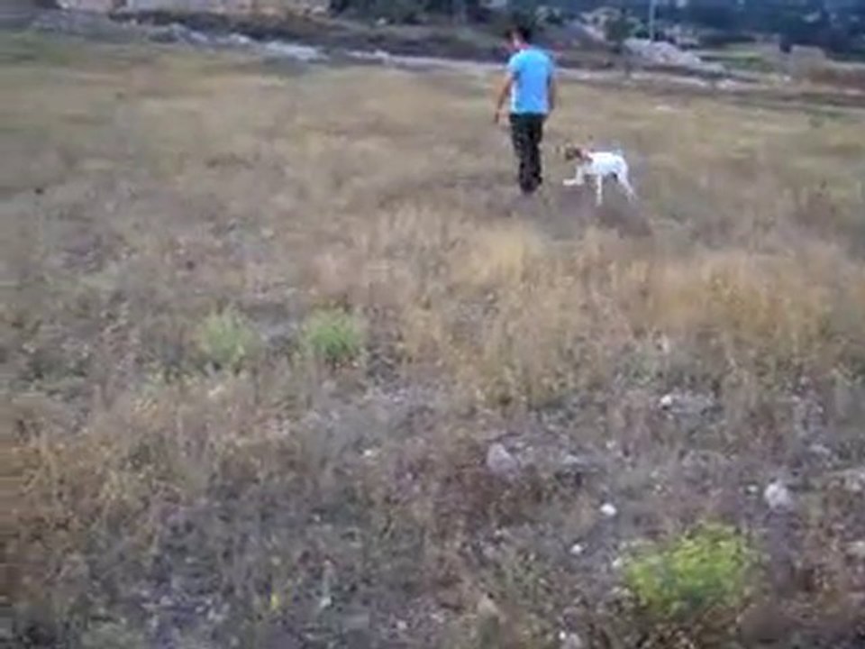 Pointer eğitim1