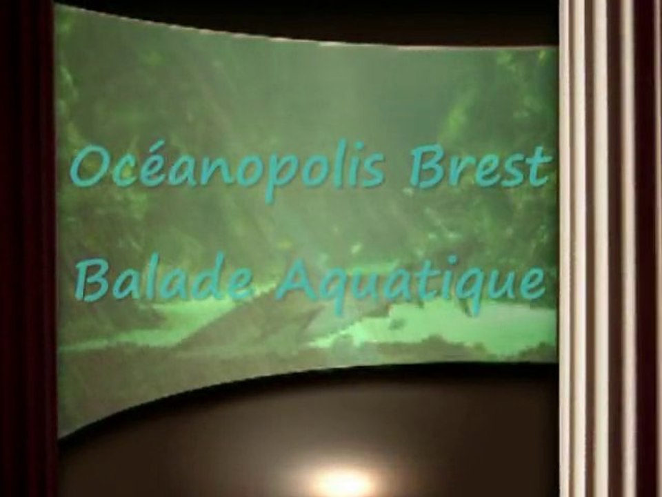 Océanopolis Brest balade aquatique