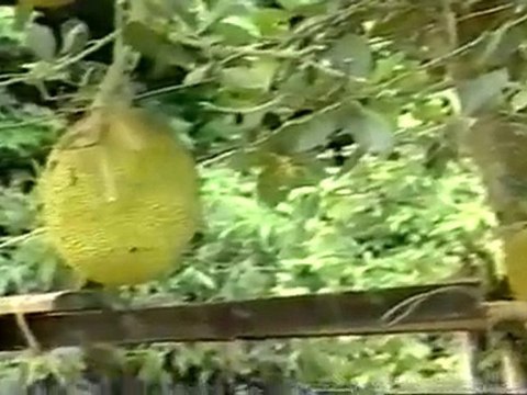 Muaj Txij Nkawm Neej Thiaj Paub Xaus 1-3_converted