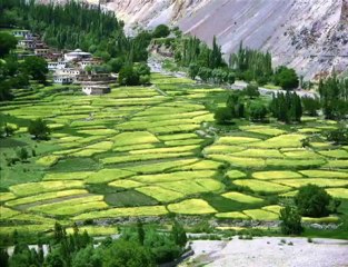 Blackwater Worldwide terrorism in pakistan  Xe Services LLC