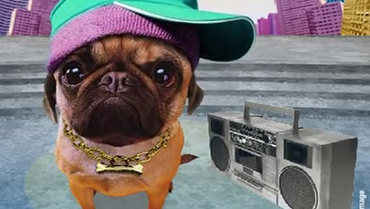Joyeux Anniversaire Chien Rappeur Video Dailymotion