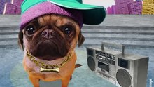 Joyeux anniversaire - Chien rappeur