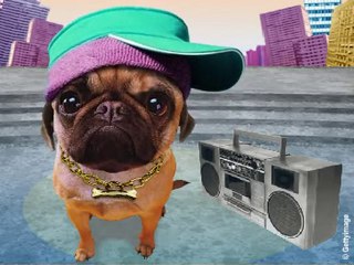 Joyeux anniversaire - Chien rappeur